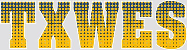 Texas Wesleyan University Decal